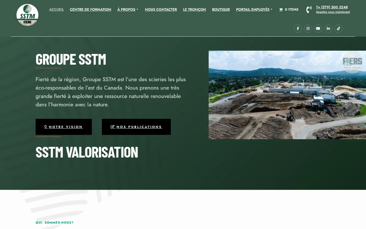 Page d’accueil du site Groupe SSTM